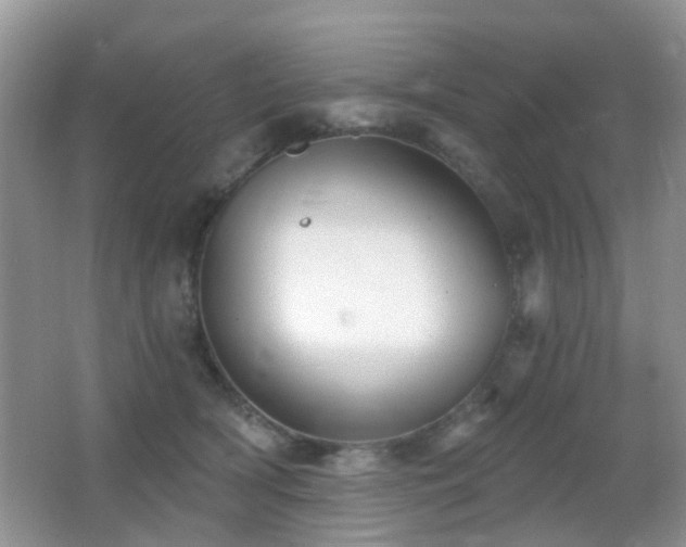 X0000066970418200603241216