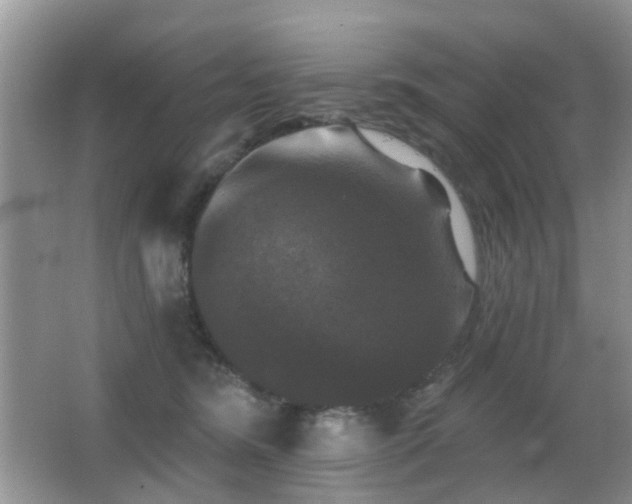 X0000066970420200603241216