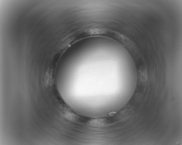 X0000066970422200603241215