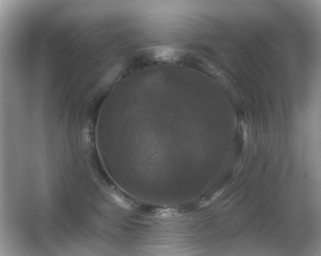 X0000066970424200603241215