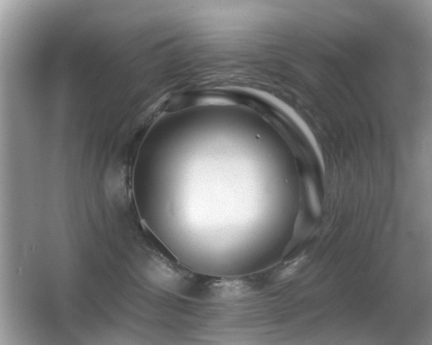 X0000066970428200603241215