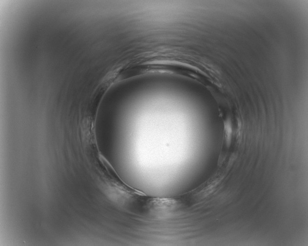 X0000066970429200603241215