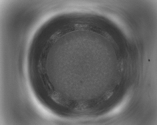 X0000066970431200603241215