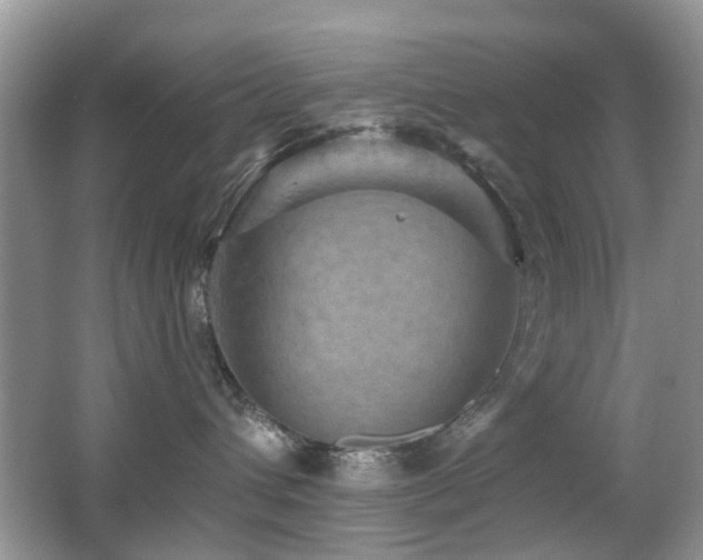 X0000066970432200603241215