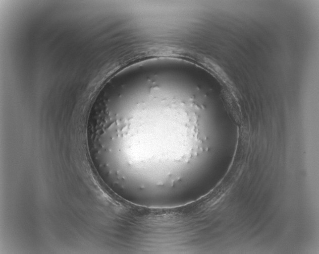 X0000066970433200603241214