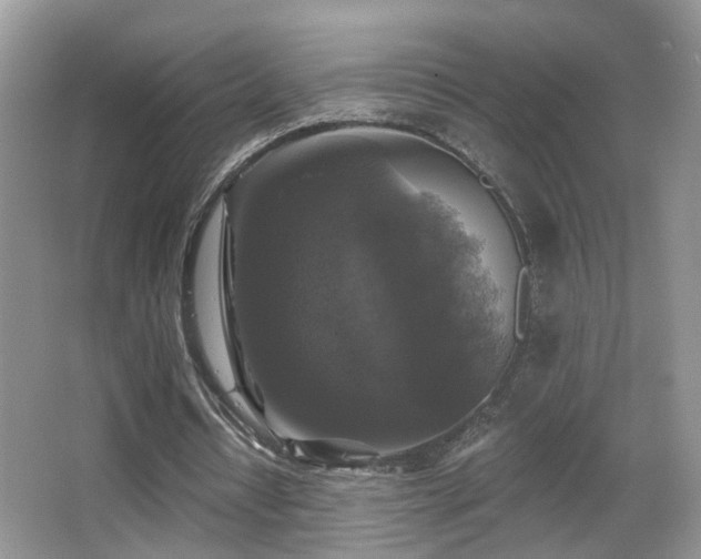 X0000066970434200603241214