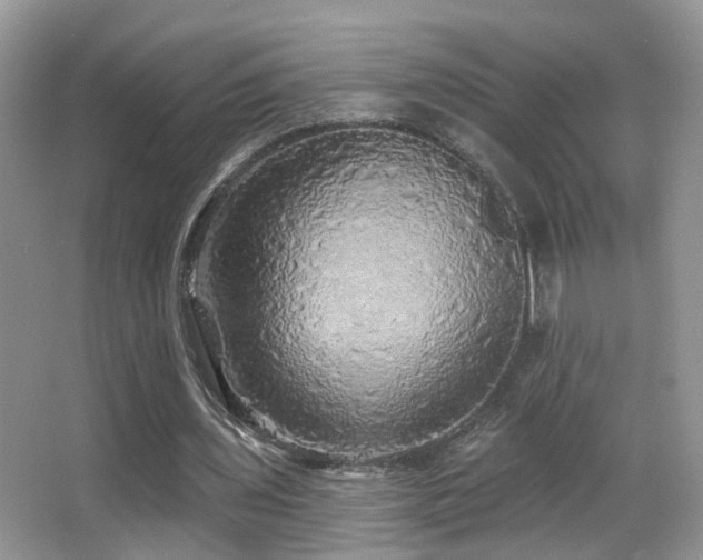 X0000066970435200603241215