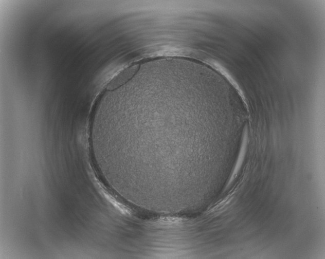 X0000066970437200603241215