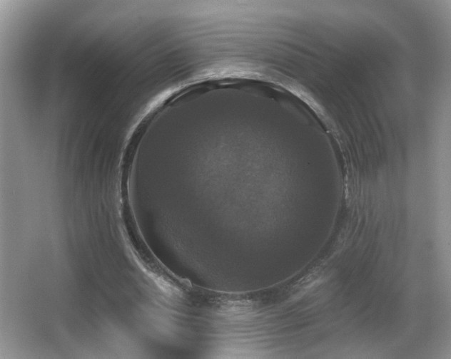 X0000066970438200603241215