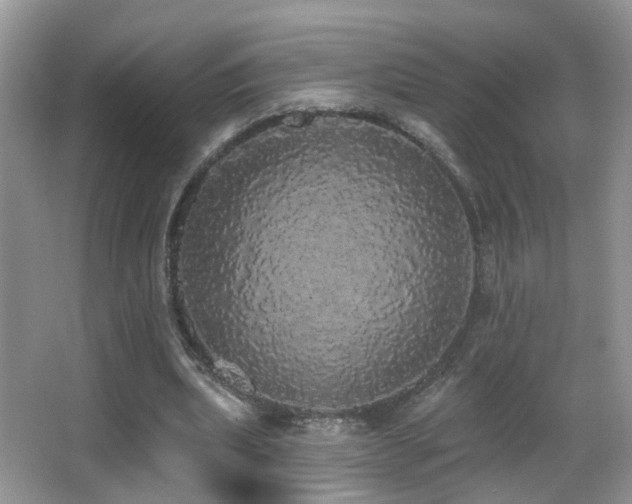 X0000066970439200603241215