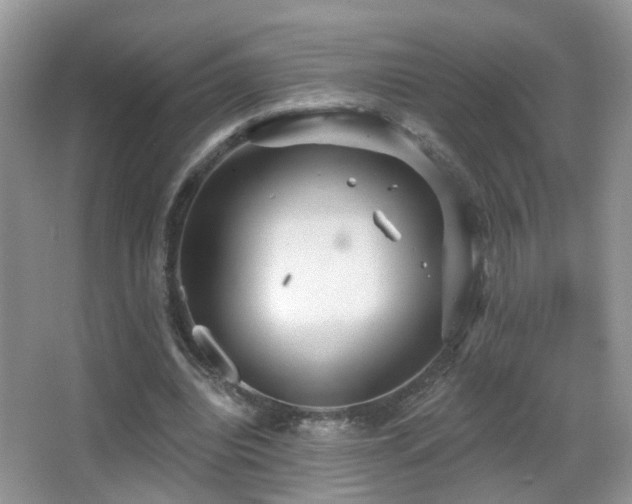 X0000066970440200603241215