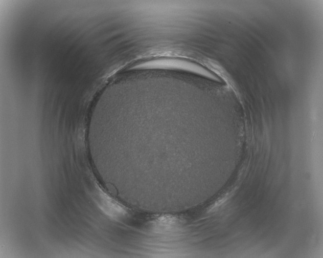 X0000066970441200603241215