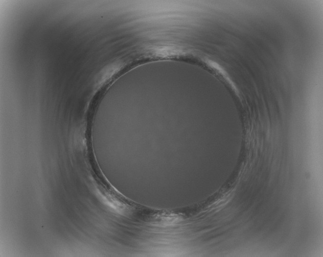 X0000066970443200603241215