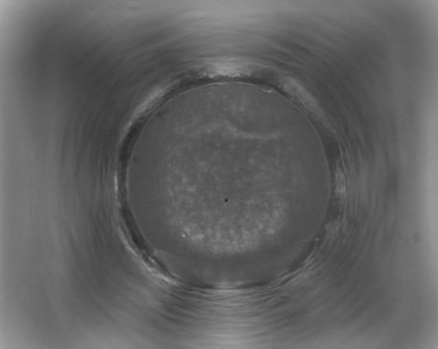 X0000066970444200603241215