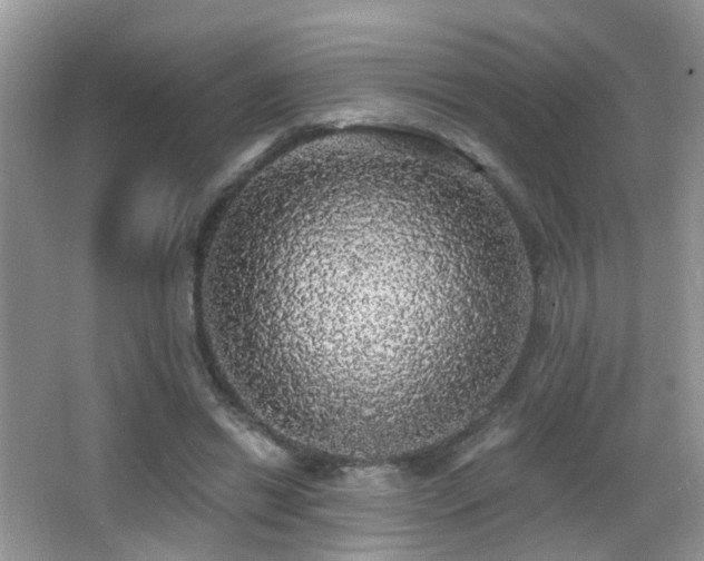 X0000066970446200603241215