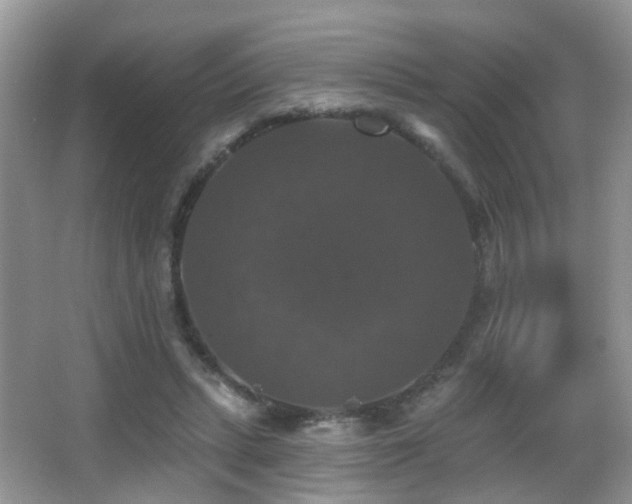 X0000066970447200603241215