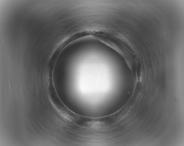 X0000066970448200603241215