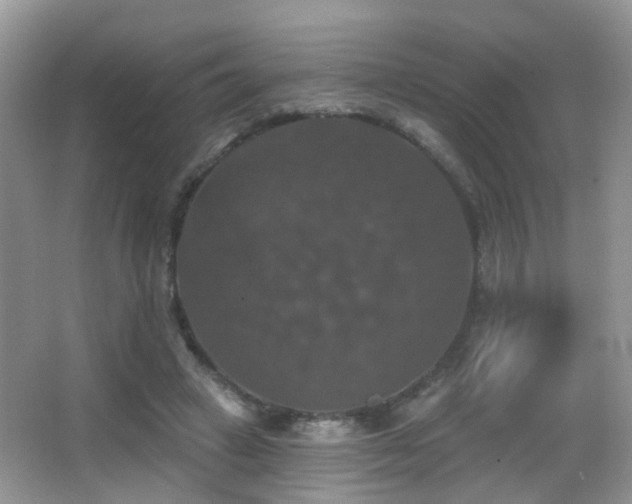 X0000066970449200603241215