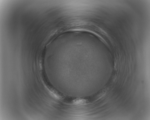 X0000066970452200603241215