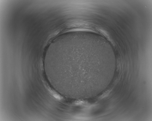 X0000066970453200603241215