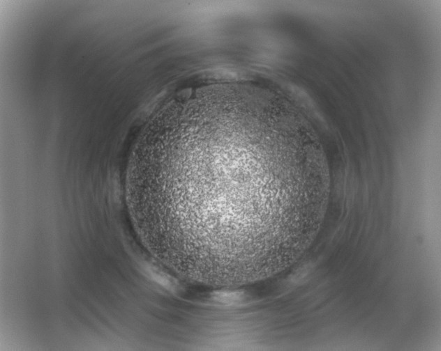 X0000066970457200603241215