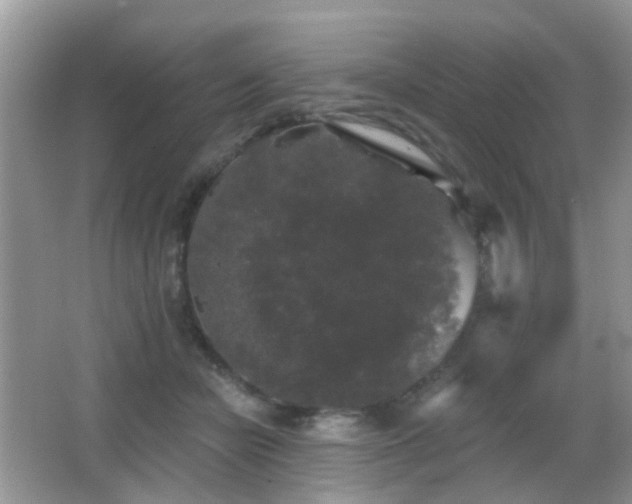 X0000066970462200603241215