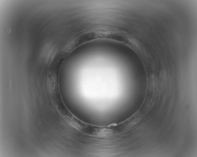 X0000066970463200603241215