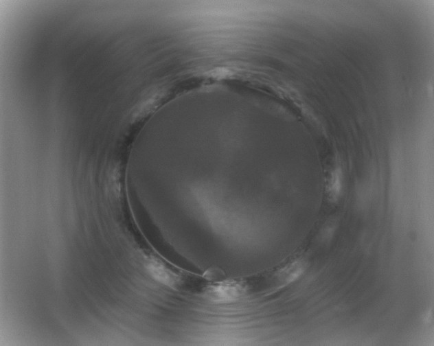 X0000066970466200603241215