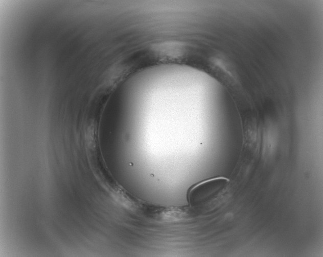 X0000066970468200603241215