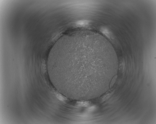 X0000066970469200603241215