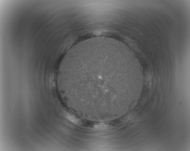 X0000066970470200603241215