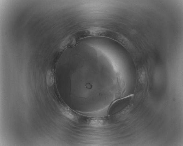 X0000066970471200603241215