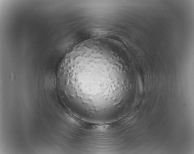 X0000066970474200603241215