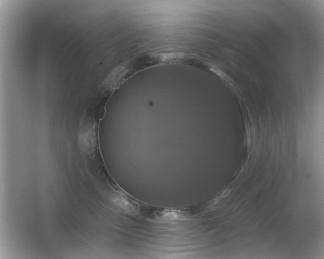 X0000066970475200603241215