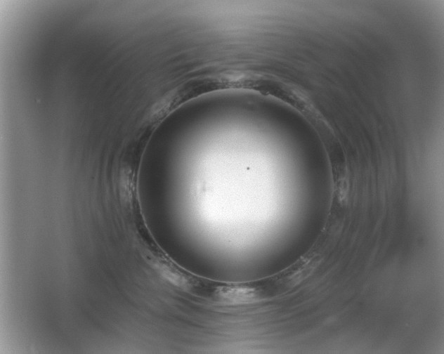 X0000066970476200603241215