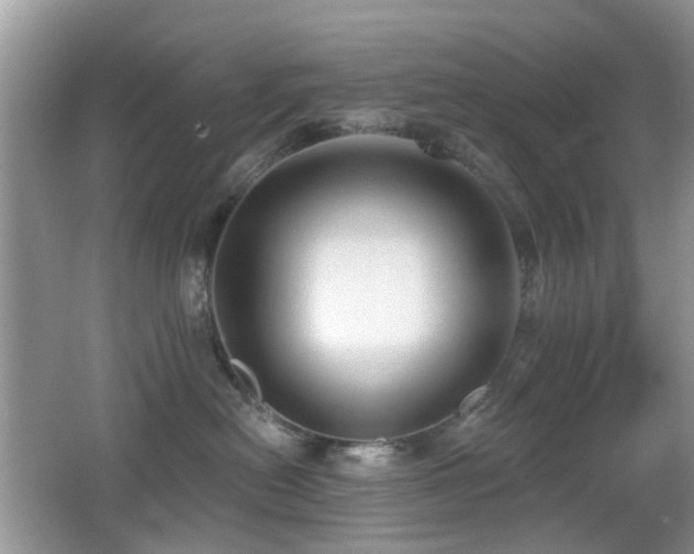 X0000066970478200603241215