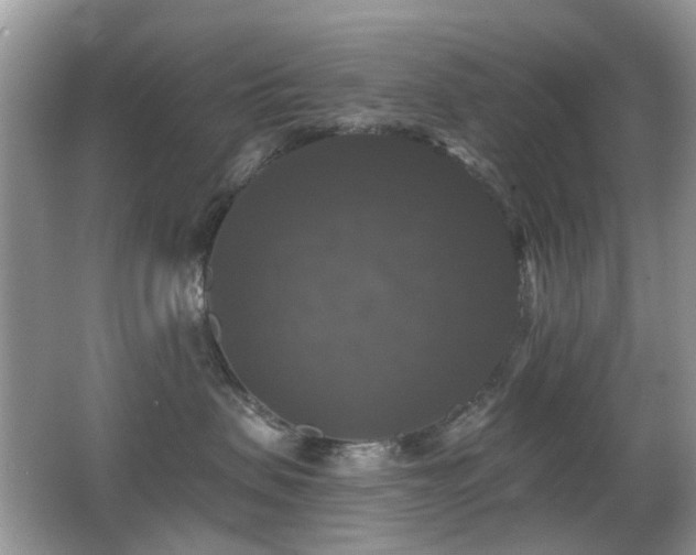 X0000066970479200603241215