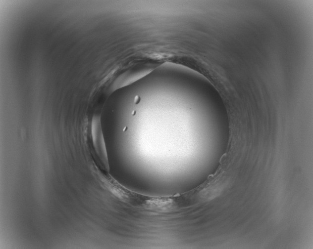 X0000066970480200603241215