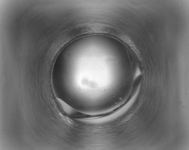 X0000066970481200603241214