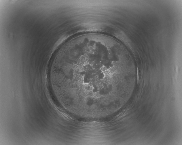 X0000066970483200603241214