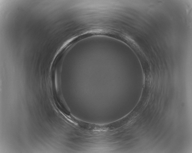 X0000066970484200603241214