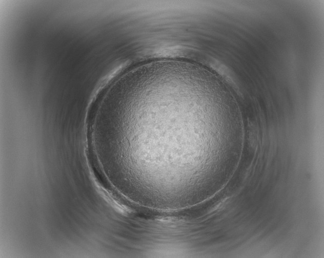 X0000066970486200603241214