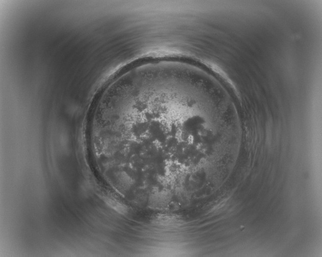 X0000066970487200603241214