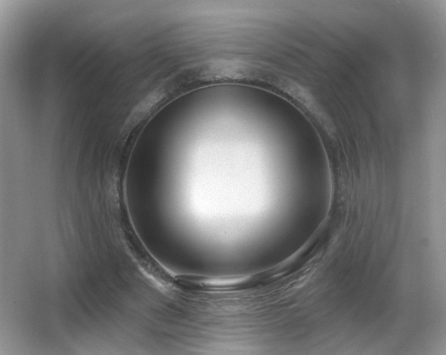 X0000066970489200603241214