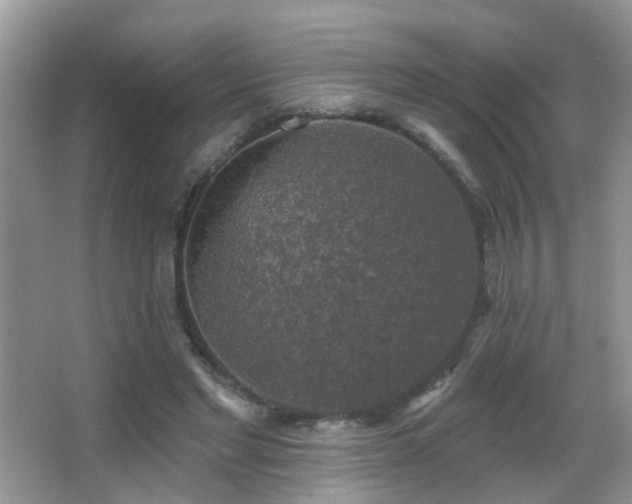 X0000066970493200603241214