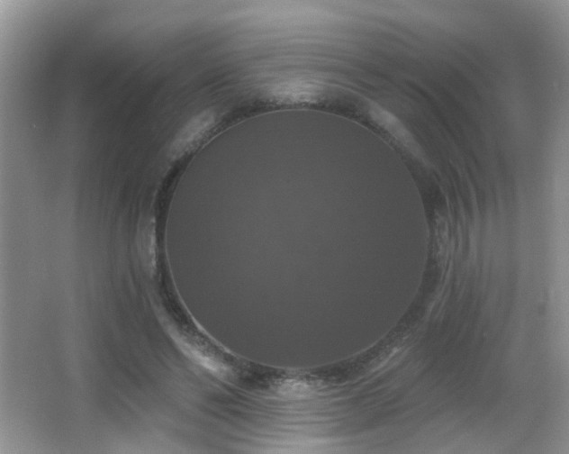 X0000066970494200603241214