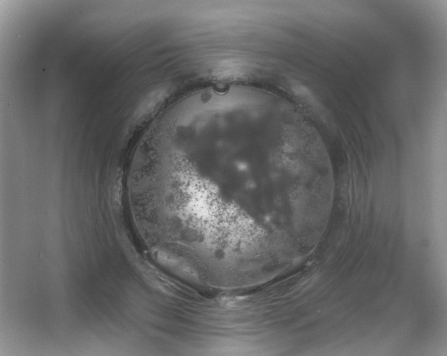 X0000066970495200603241214