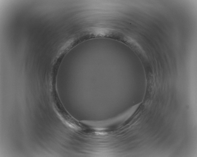 X0000066970496200603241214