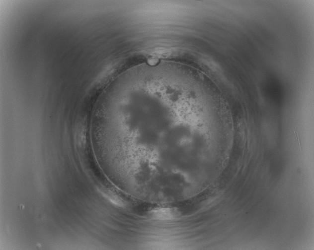 X0000066970499200603241214