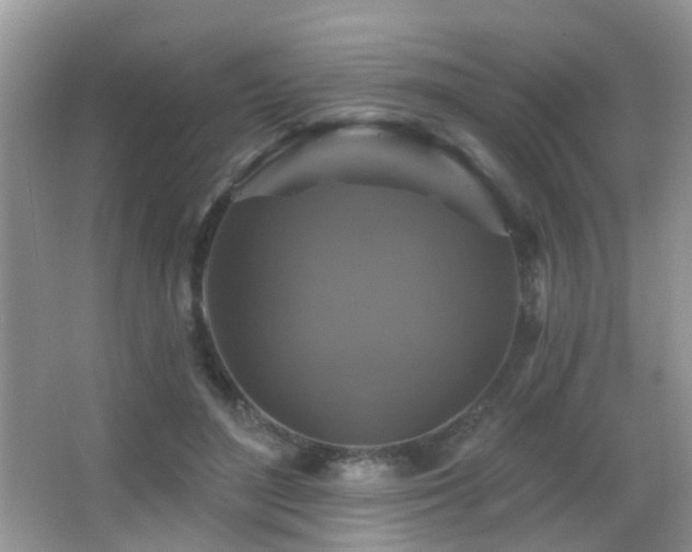 X0000066970500200603241214